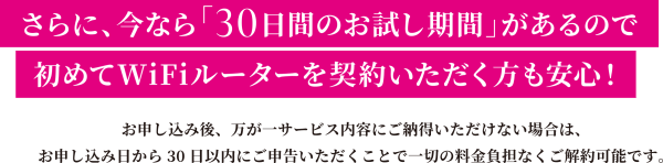 30日お試し