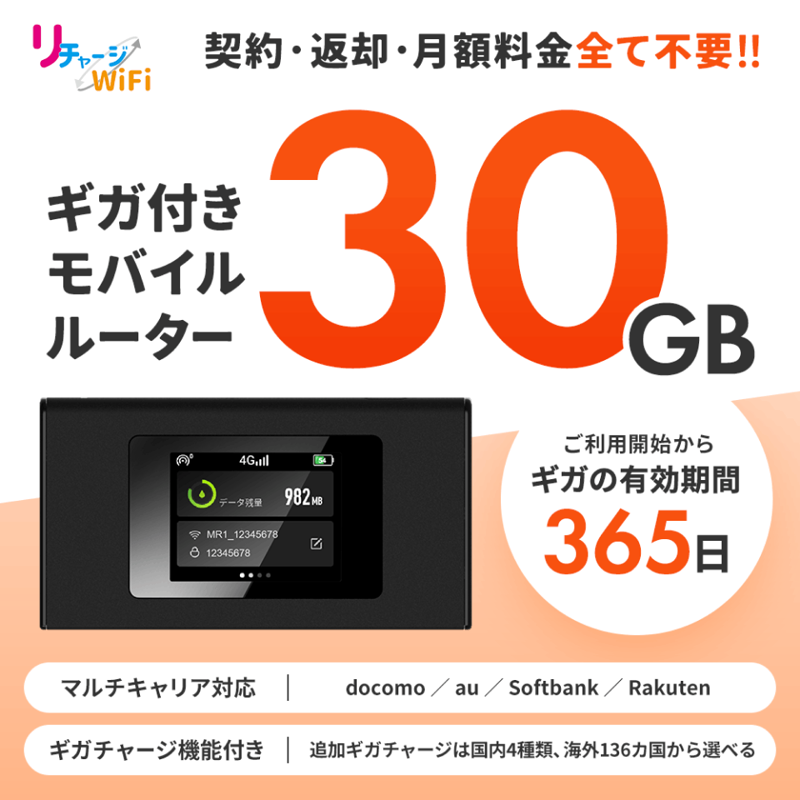 リチャージWi-Fi30GB