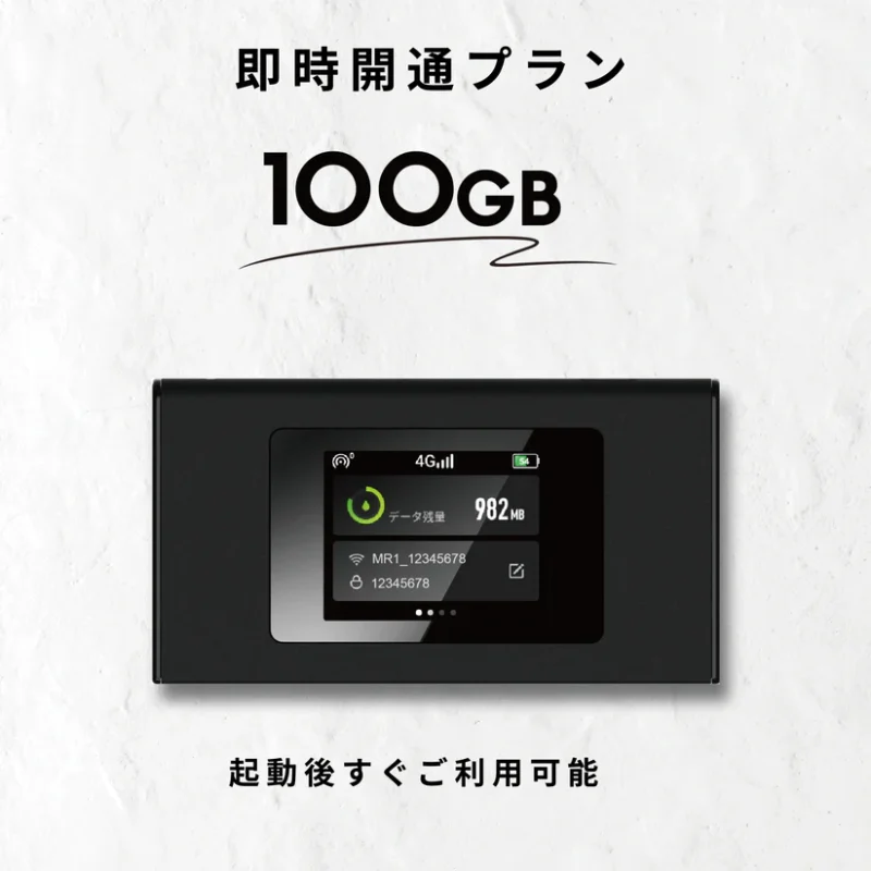 ギガセットWiFi100GB