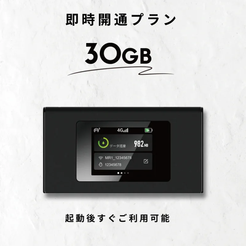 ギガセットWiFi30GB